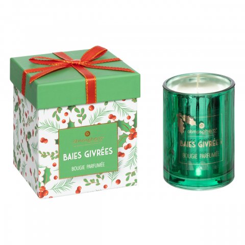 BGE PFM HOUX D8X10CM 210G