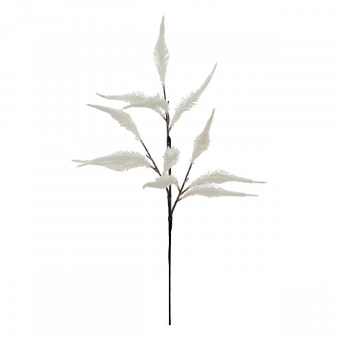 BCH CORAIL BLANC H70